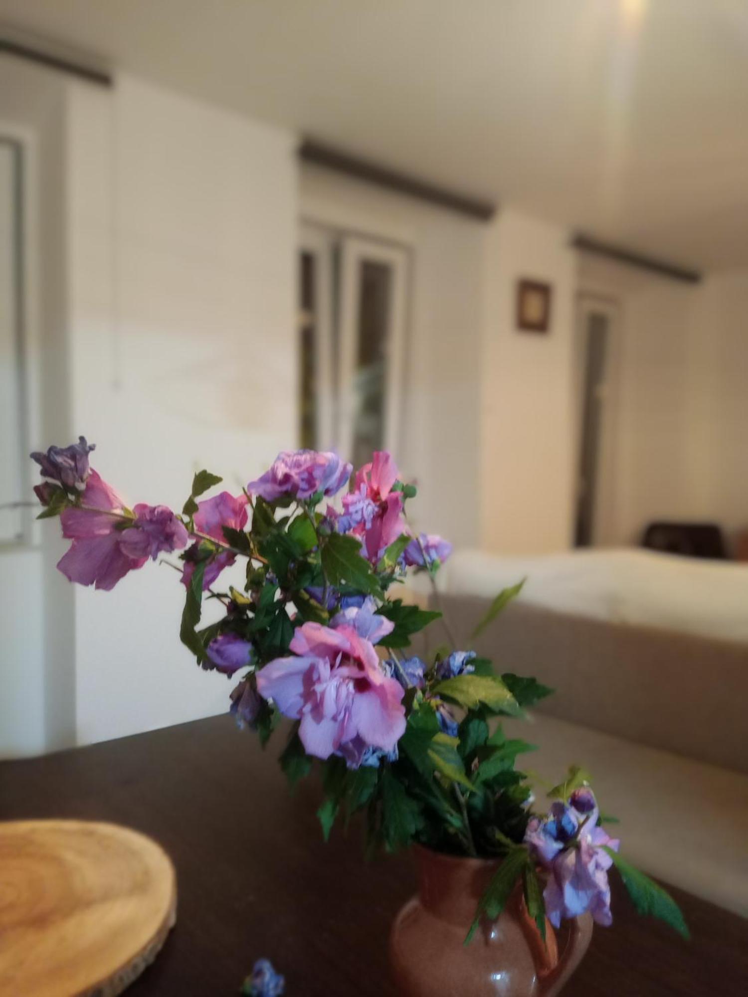 Casa Com Vista Sob A Cidade! コインブラ エクステリア 写真